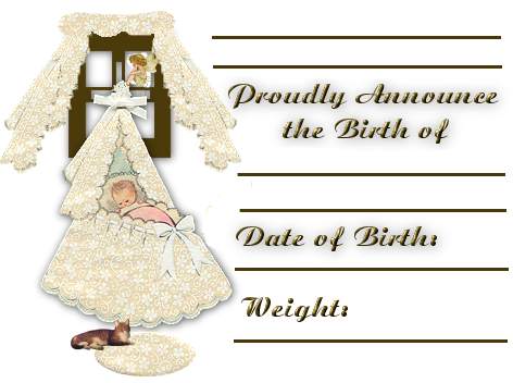 Birth Announcement(24096 bytes)