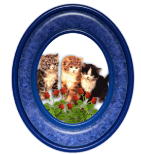 Cats in Frame(35019 bytes)